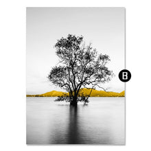 Load image into Gallery viewer, Canvas Painting Black White Art Photography For Room